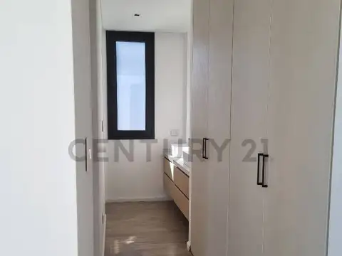 BARRIO CASTAÑOS 100