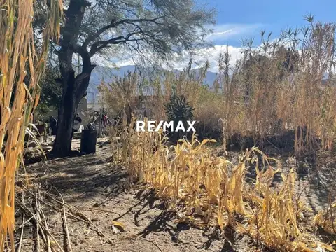 Terreno en Venta de 521,0 m2