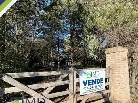 Quinta con 4.000m2 de terreno con arboleda ¡RETASADA!