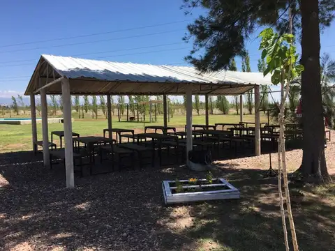 Local en Alquiler 6 años