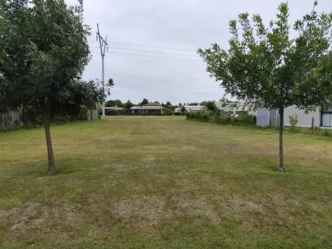 Matacos 3100