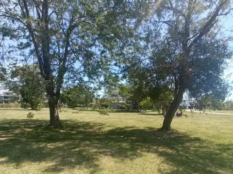 Terreno en Venta 50  mts Fondo