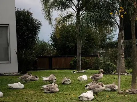 Terreno en Venta en Terravista, USD 280.000