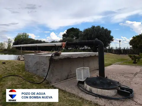 VENTA FINCA EN PRODUCCION UGARTECHE LUJAN MENDOZA