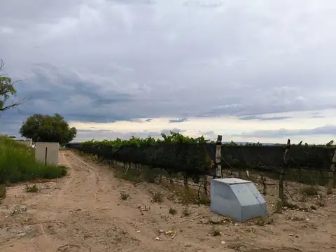 CALLE 10, S/N, entre calle 5 y JUAN MANGIONE