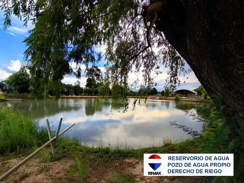 VENTA FINCA EN PRODUCCION UGARTECHE LUJAN MENDOZA
