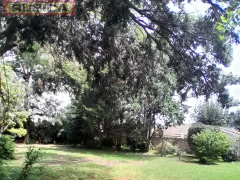 Terreno en Venta 30  mts Fondo