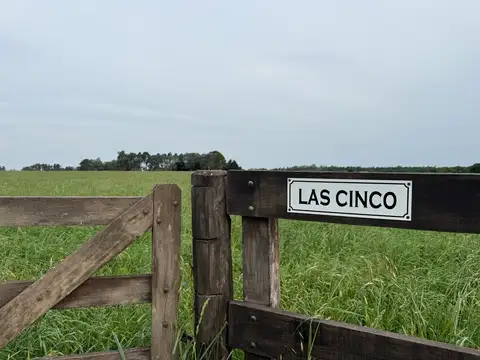 Campo de 5 hectáreas en venta en Villa Lía - San Antonio de Areco