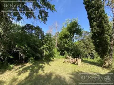 Quinta en Venta sobre autovía 2.  El Pato Km 42.