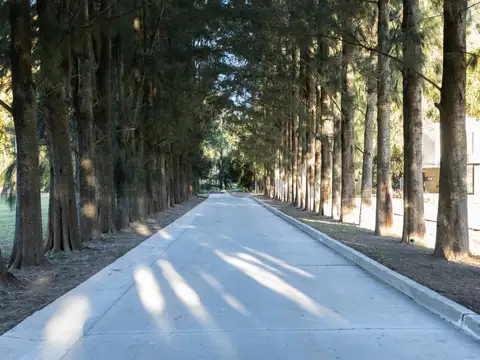Terreno en Venta 60  mts Fondo