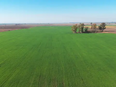 Campo en venta Salto Grande Sant Fe oportunidad inversión 30 hectareas
