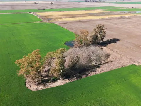 Campo en venta Salto Grande Sant Fe oportunidad inversión 30 hectareas