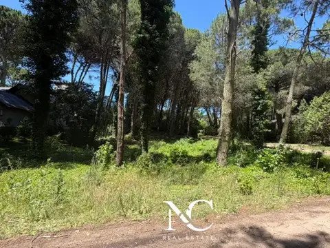 Terreno en Venta en Carilo