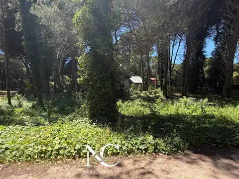 Terreno en Venta en Carilo, USD 115.000