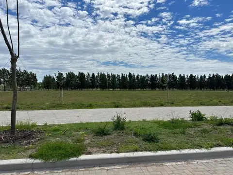 Terreno en Venta de 1254,0 m2