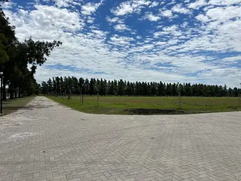 Terreno en Venta de 1254,0 m2