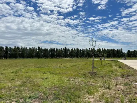 TERRENO  SIN EXPENSAS CARDALES EN VENTA