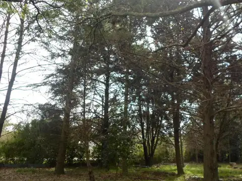 Casa en Venta al Sur