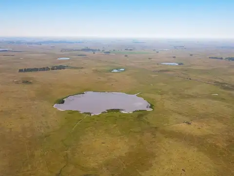 VENTA DE CAMPO GANADERO PARTIDO DE AZUL