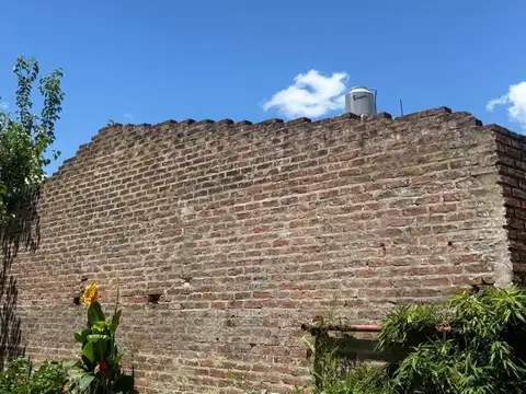 Echeverria 100