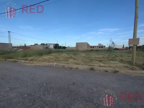 Primeros Pobladores al 1700