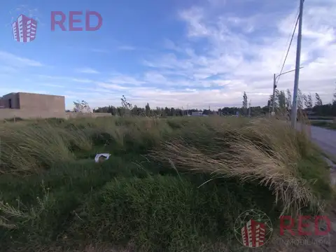 Terreno en venta Altos de Alberdi Plottier