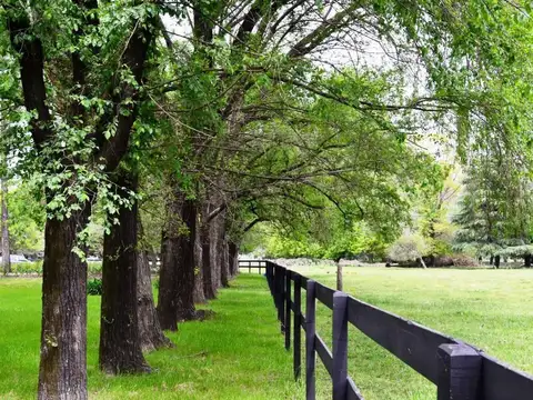 Terreno en Venta de 900,0 m2