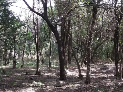 Terreno en Venta de 900,0 m2