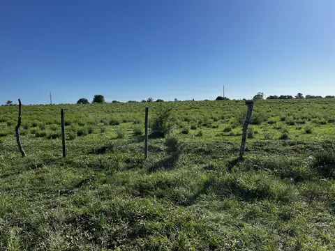 Vendo Terreno de 1,5 Hectárea en San Justo, Entre Ríos.