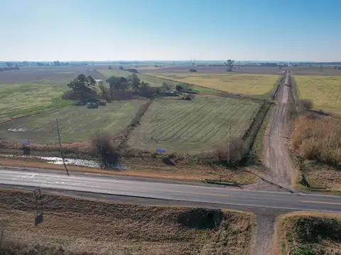 Terreno Industrial en Venta Sobre Ruta A012  Alvear Rosario