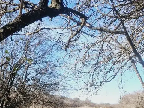 Campo en venta - 8 Hectáreas - Córdoba