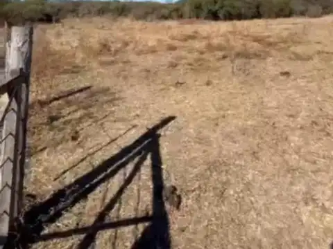 Ruta E 53 e/ Agua de Oro y Salsipuedes