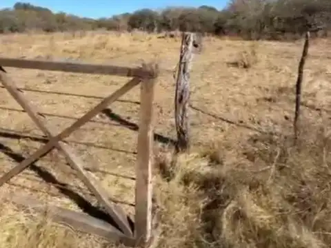 Campo en venta - 8 Hectáreas - Córdoba
