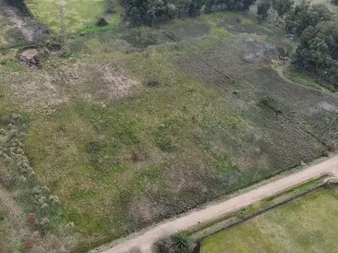 CAMPO/TERRENO DE 18.500m2 -502e/202 y 208(ABASTO) 