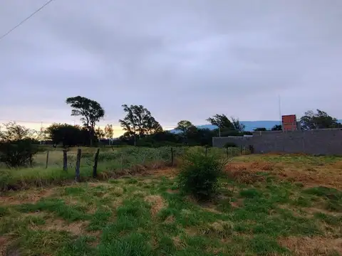 Terreno en Venta de 800,0 m2