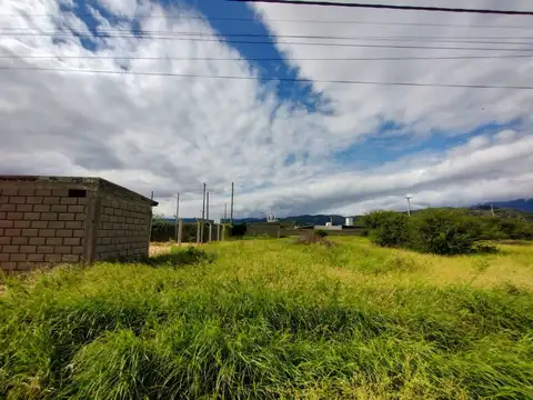 Calle Los Lapachos, cercanía de Av Felipe Varela y Circunvalación 100