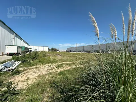 Terreno en Venta de 5000,0 m2