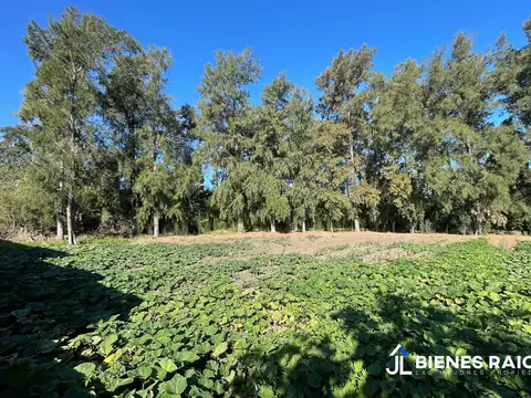 Terreno en Venta de 3078,0 m2