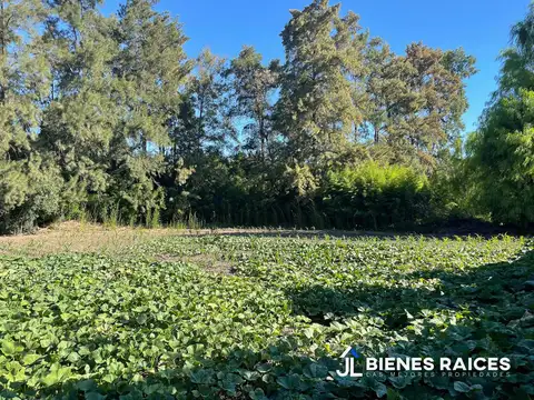 Terreno en Venta en Los Cardales, USD 230.000