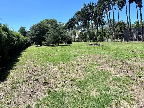 Terreno en Venta de 1000,0 m2