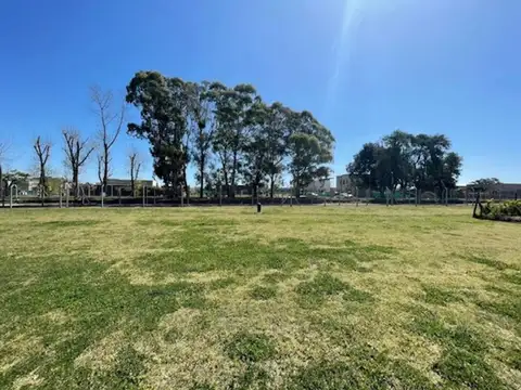 Terreno en Venta en Pilar del Este - San Ramiro, USD 48.000