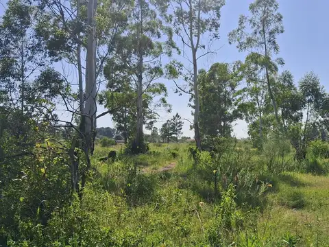 Terreno en Venta en Concordia, Entre Ríos