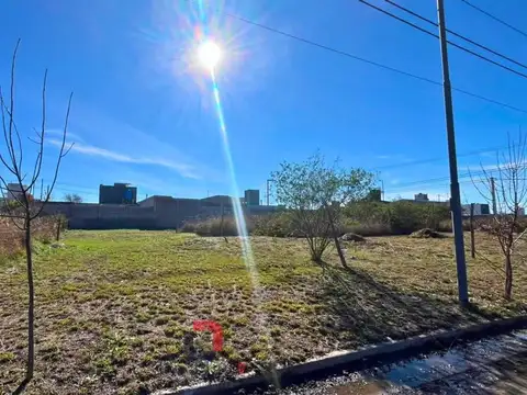 Nueva Esperanza 150, Argüello Norte
