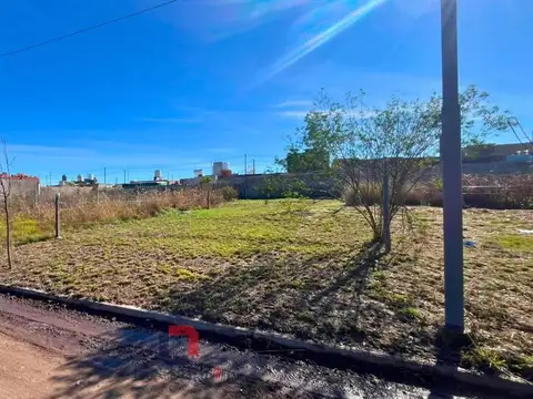 Nueva Esperanza 150, Argüello Norte