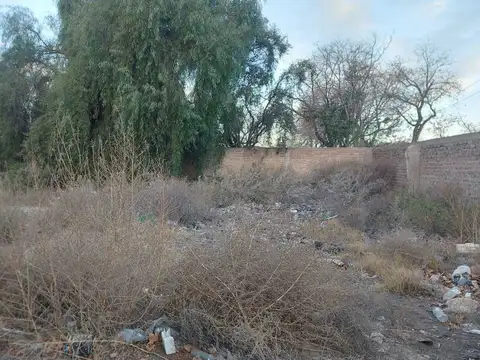 VENTA LOTE SAN MARTIN CASI RUTA N7 MENDOZA