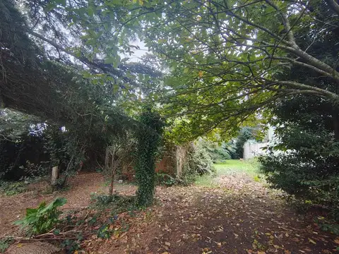 VENTA LOTE FARO 525 MTS