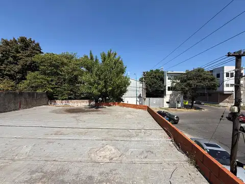 Alexander Fleming 1900