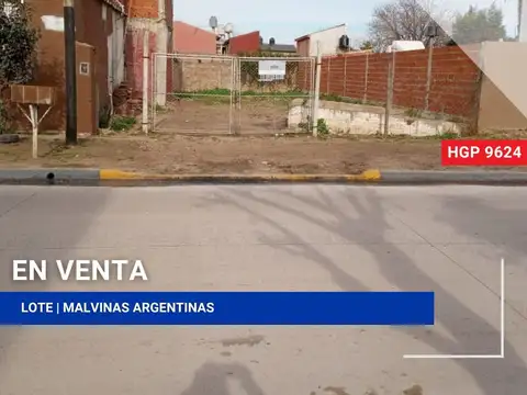 Lote | Baroni al 100