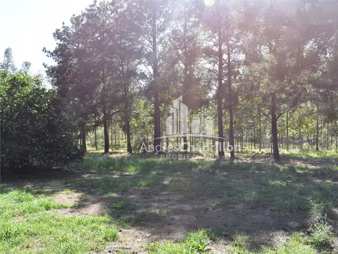 Colonia Ayuí 110