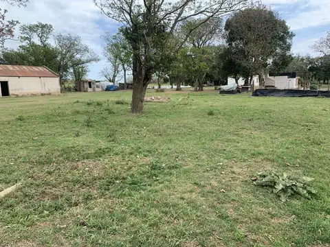 VENTA CAMPO EN FIGHIERA - 8 HECTAREAS